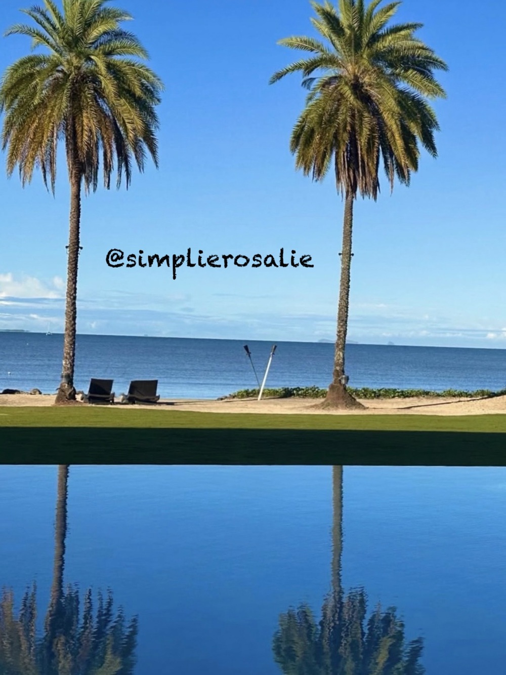 SIMPLIEROSALIE NOTIFICATION BANNER